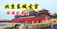 大鸡巴操我的逼视频中国北京-东城古宫旅游风景区